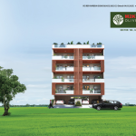 M2K Olive Green New Launch